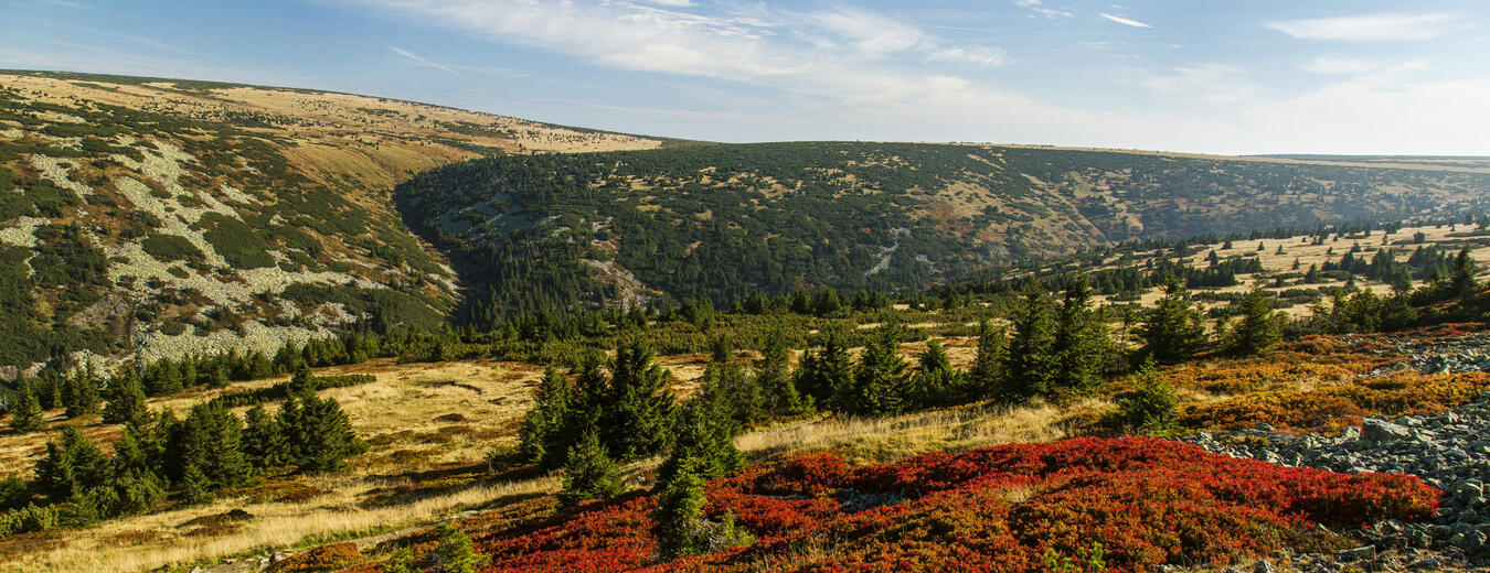 Krkonošský národní park