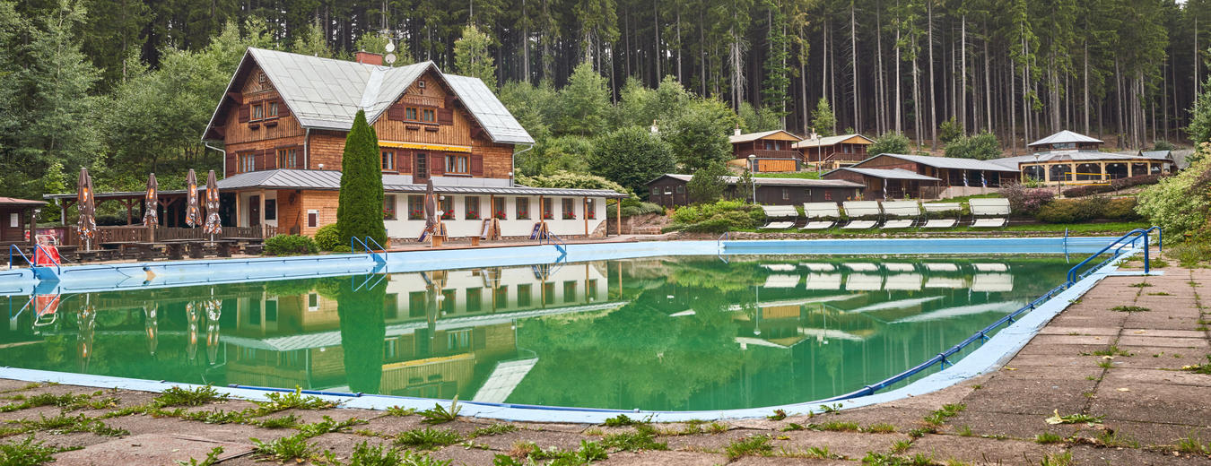 Forest Swimming Pool Sejfy