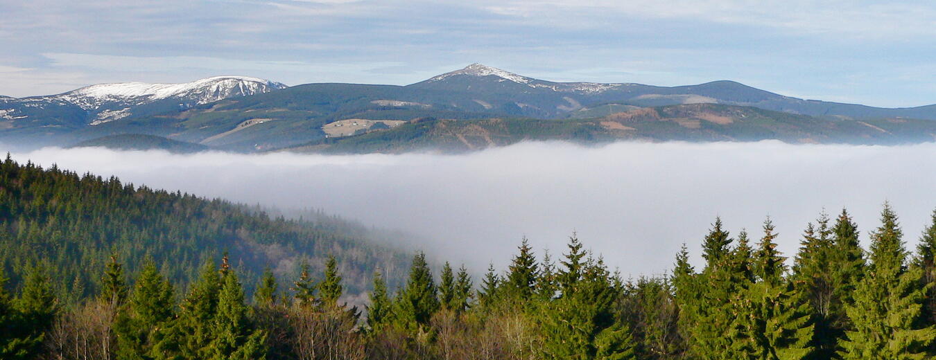 To the Dvorsky Forest and the ‘Snezne domky’ Meadow Enclave