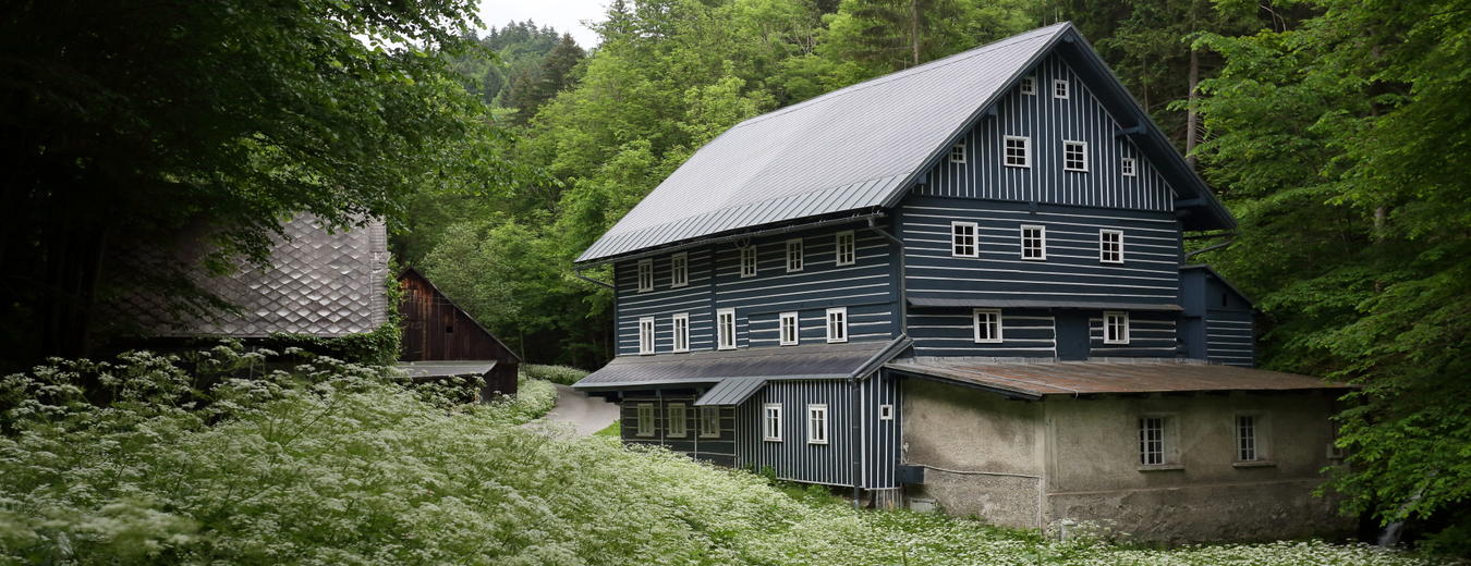 Janata-Mühle Buřany