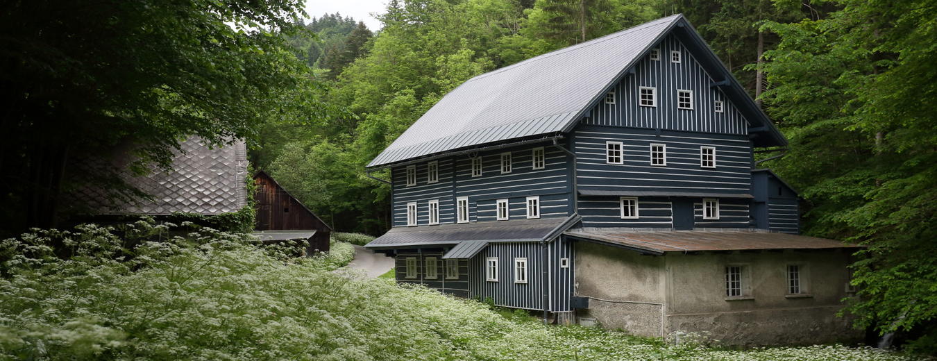 Janatuv Mill in Burany