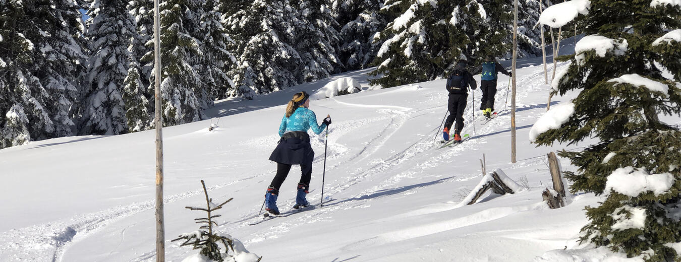 Loipen im Riesengebirge