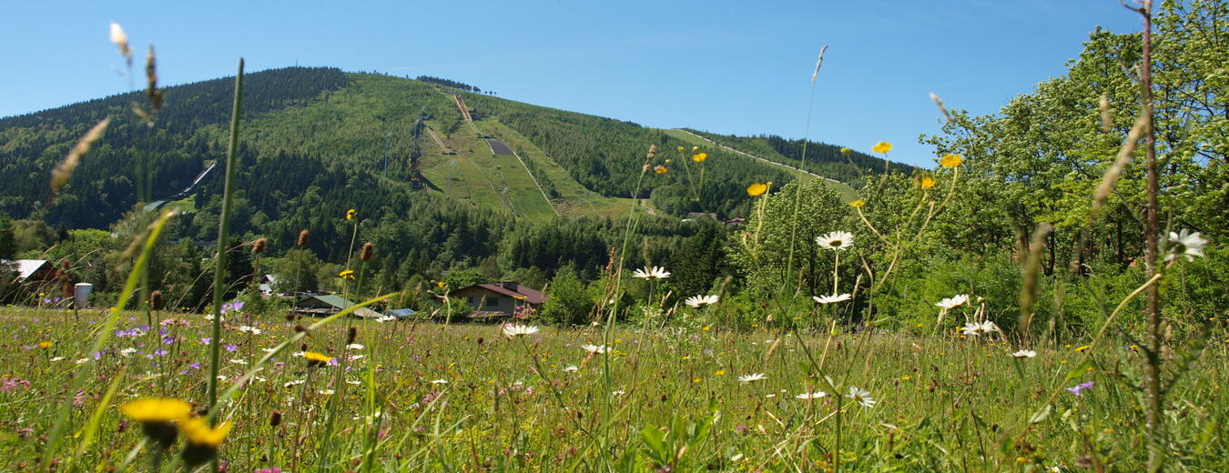 Čertova hora, Harrachov