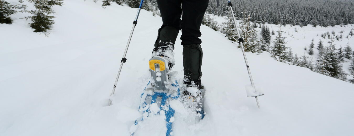 Schneeschuhwandern im Riesengebirge