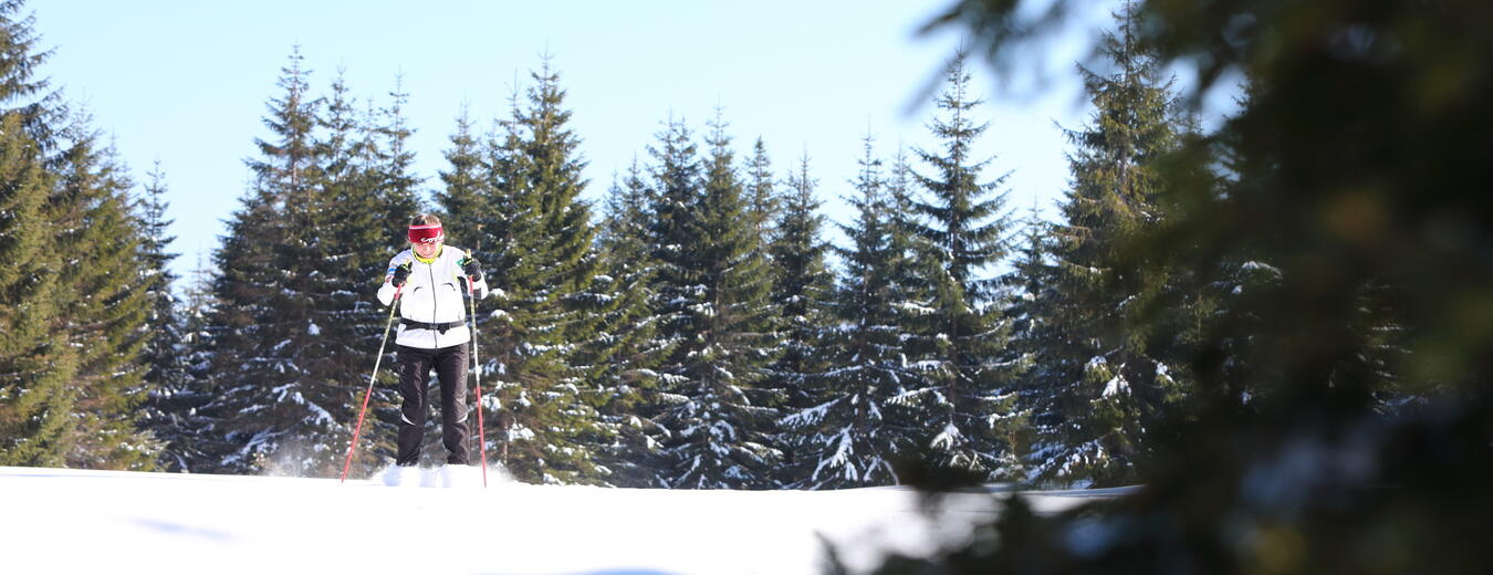 Western Parts of the Main Krkonose Trail