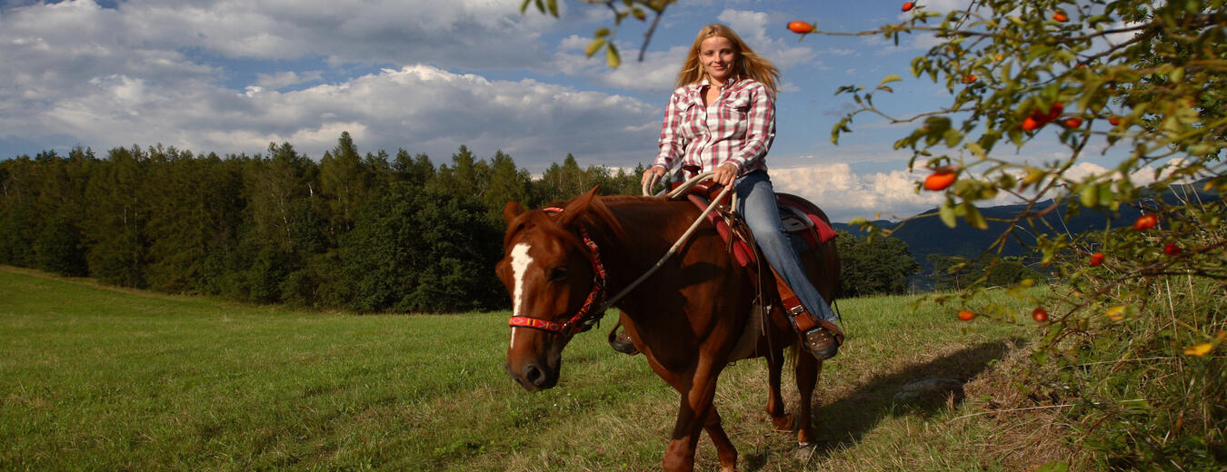 Jezdecká stezka přes Horní Maršov