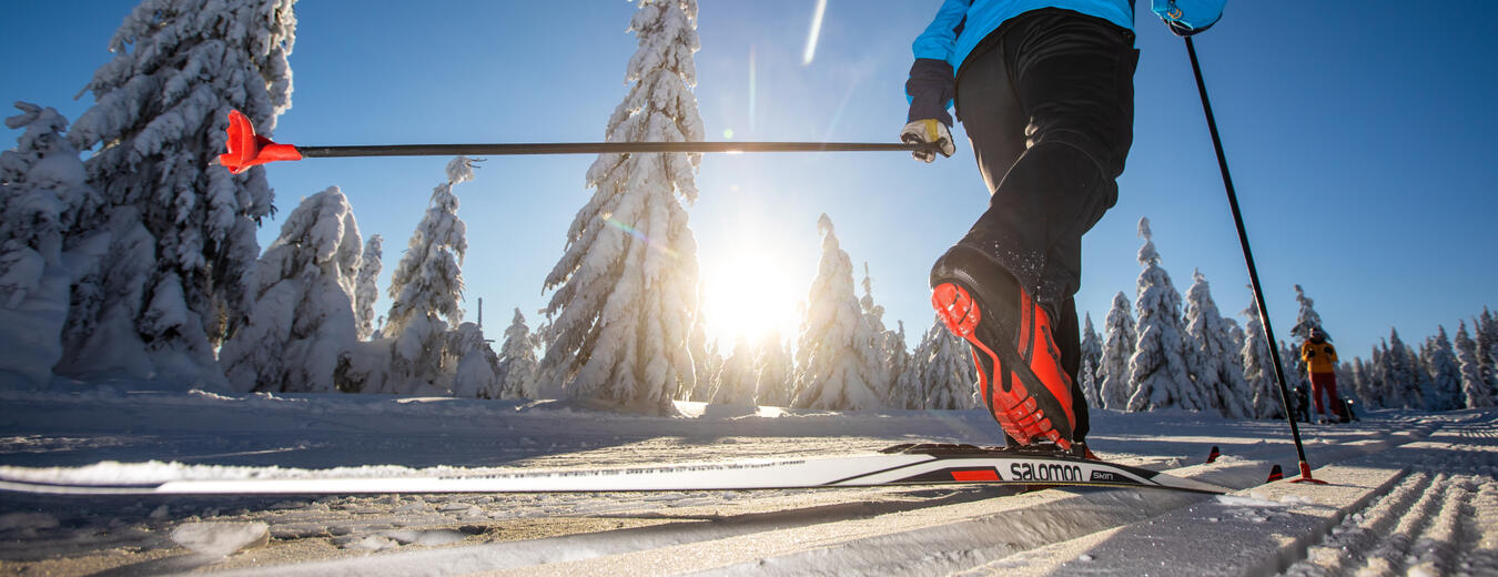 SkiResort - běžky