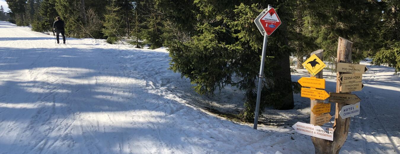 Eastern Part of the Main Krkonose Trail