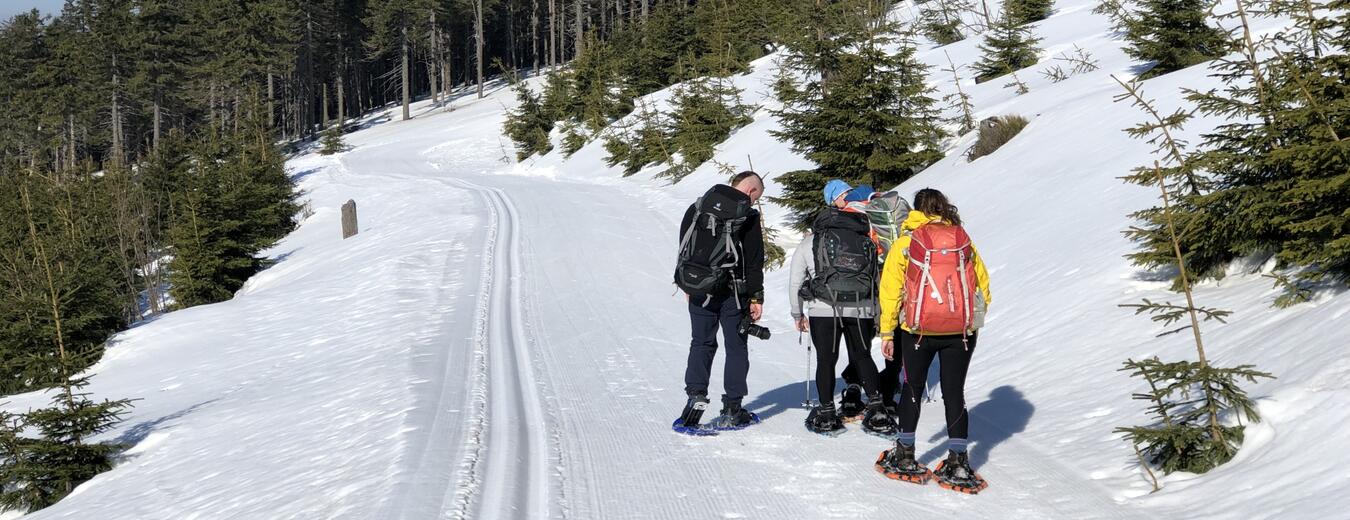 Schneeschuhwandern im Riesengebirge