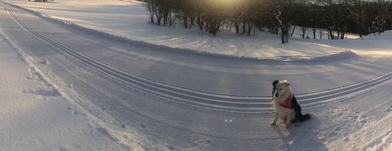 Rund herum um den Berg Hvězda