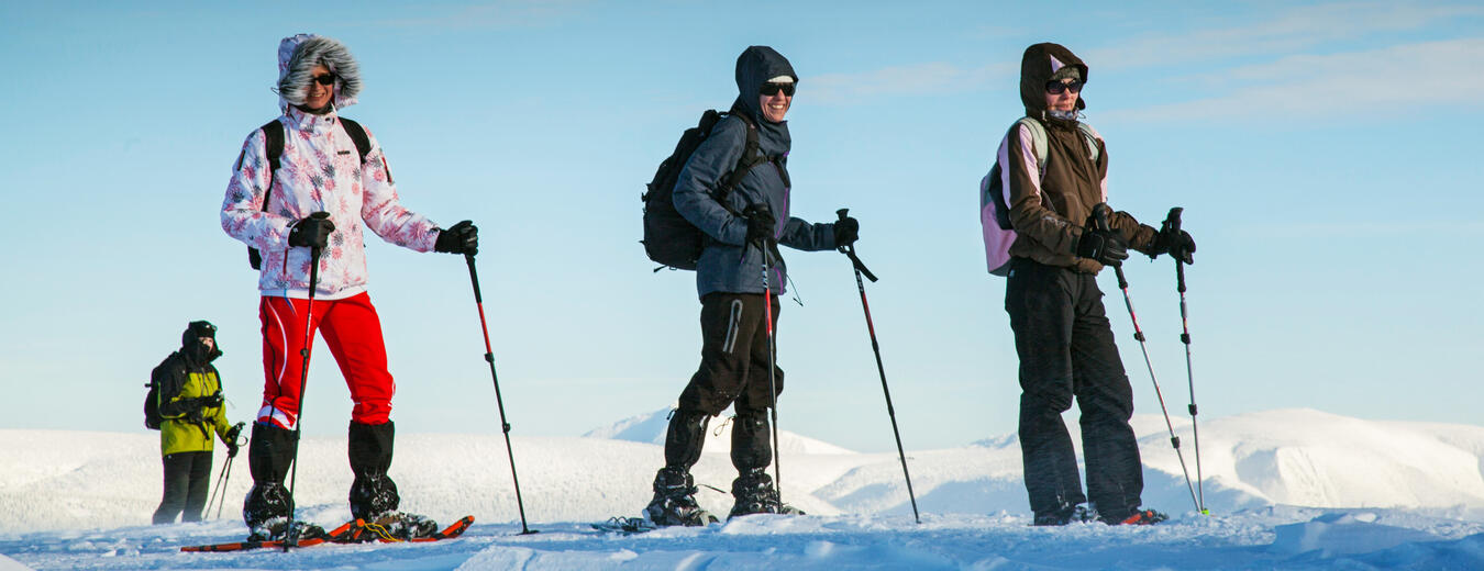 Walking in the Krkonose with Snowshoes