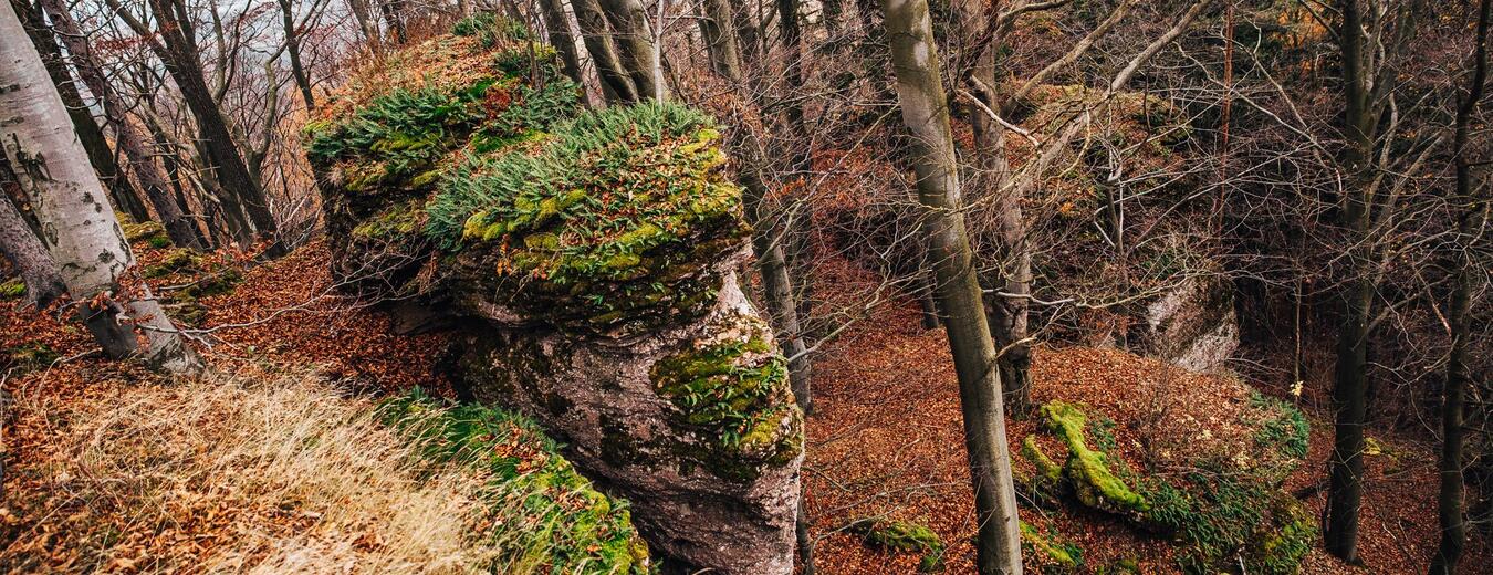 Hradecek Nature Park