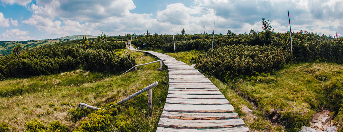 Wandern im Riesengebirge