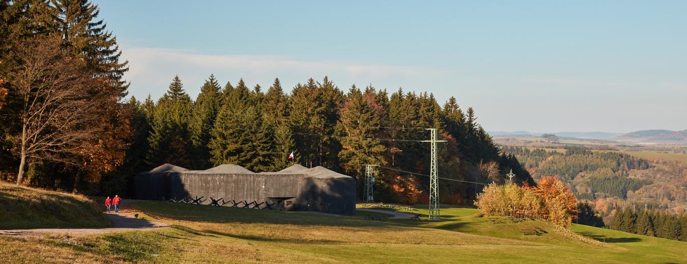 Dělostřelecká tvrz Stachelberg