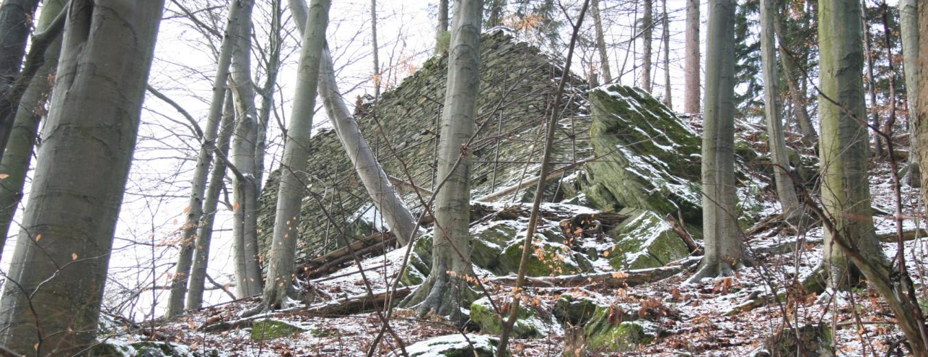 Die Ruine der gotischen Burg Štěpanice