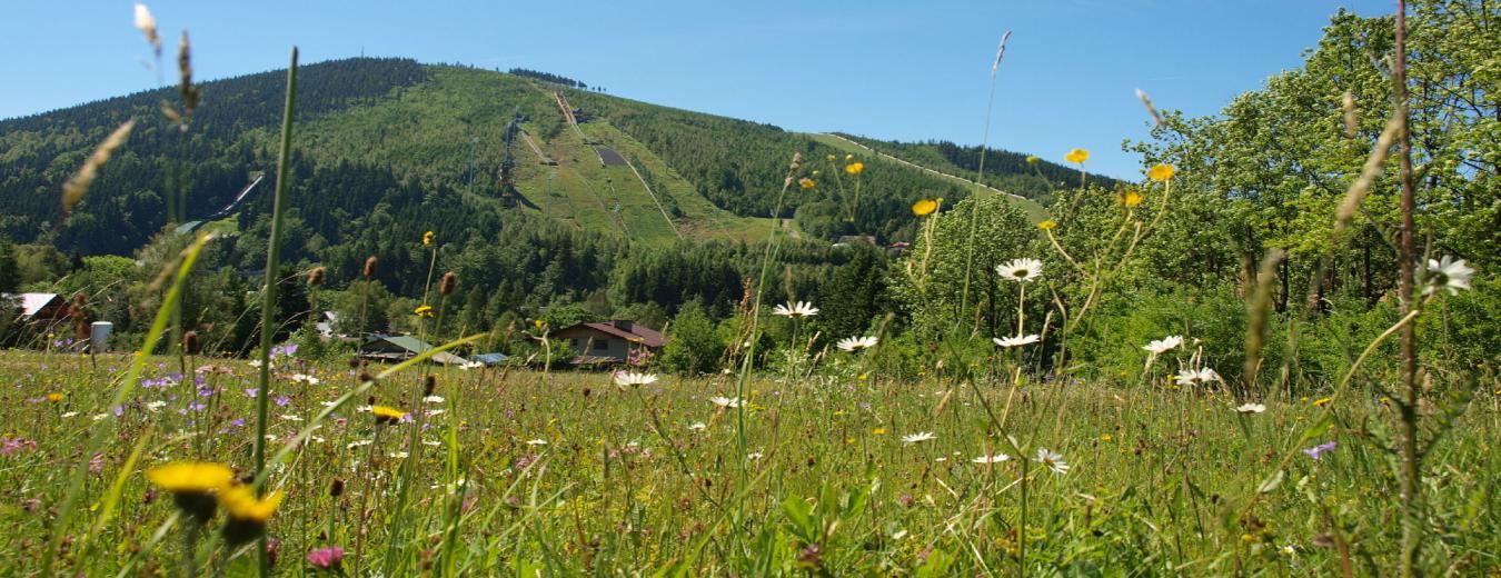 Čertova hora Harrachov