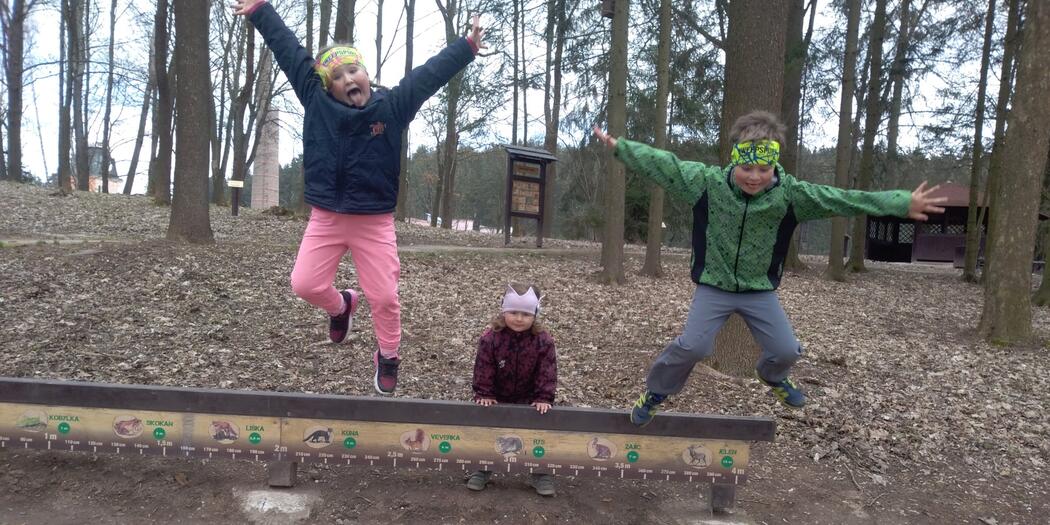 Lesopark Košťálov