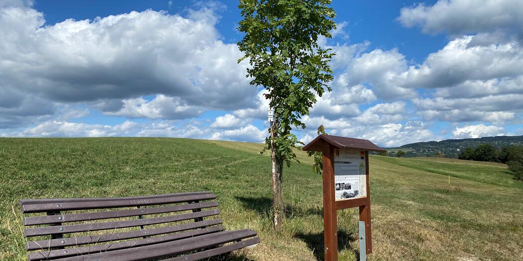 Víchová nad Jizerou