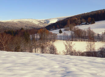 Zima v Dolním Dvoře