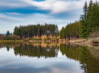 Martinické rybníky