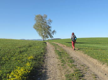 Stezka za Kavánovými obrazy