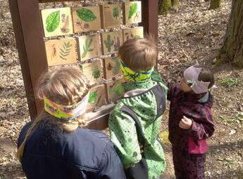 Lesopark Košťálov