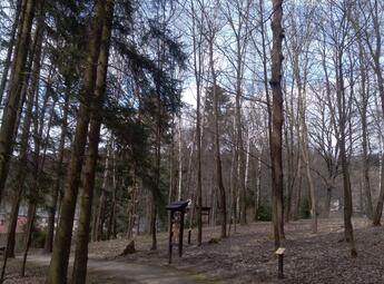 Lesopark Košťálov