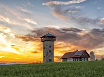 Rozhledna u borovice 