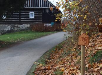 Vlček, který nekouše