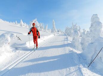 Z Dolního Dvora do Strážného přes Tetřeví a Hříběcí boudy