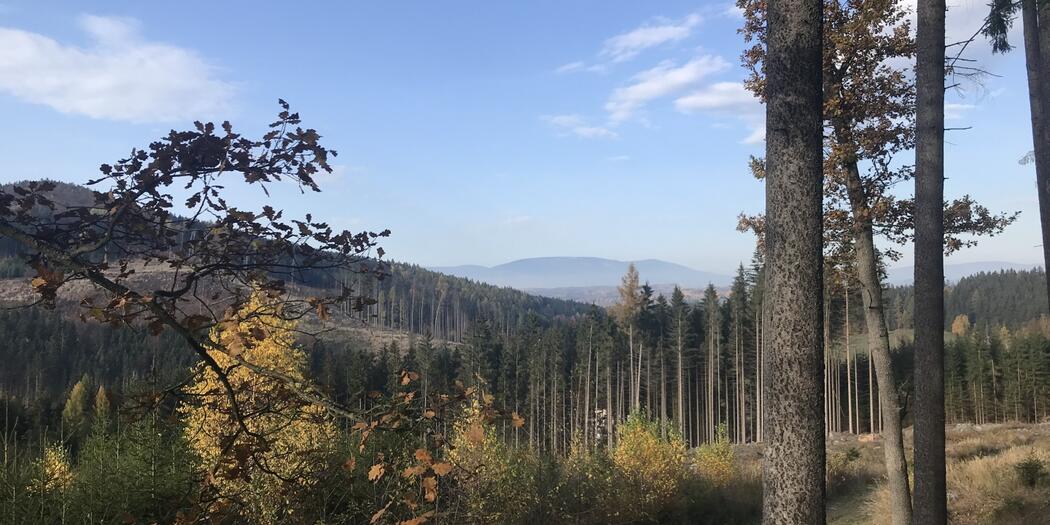 Do Chotěvic na poutní místa i do netradičního kostela