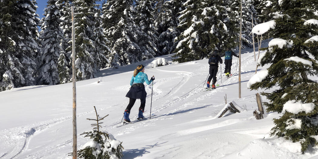 Z Dolního Dvora do Strážného přes Tetřeví a Hříběcí boudy