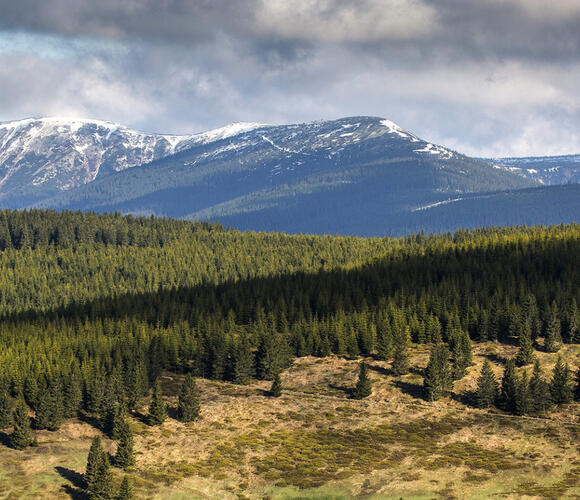 Jarní výhled na Zlaté návrší a Kotel