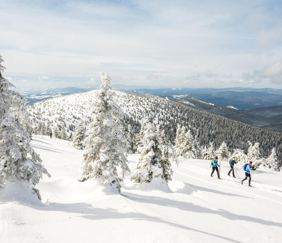 Narciarstwo biegowe w Karkonoszach