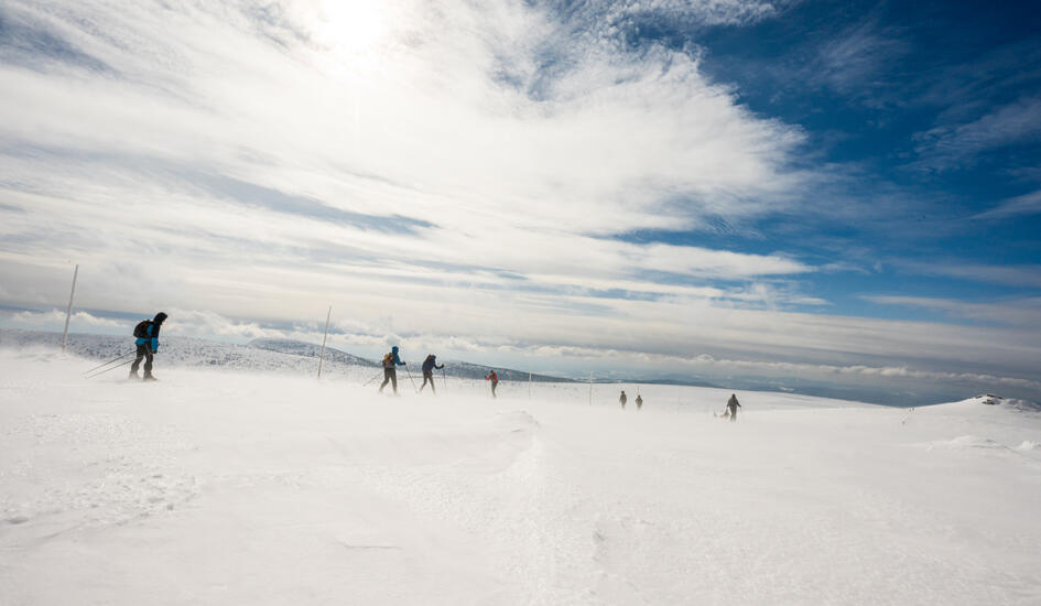 Karkonoska Magistrala