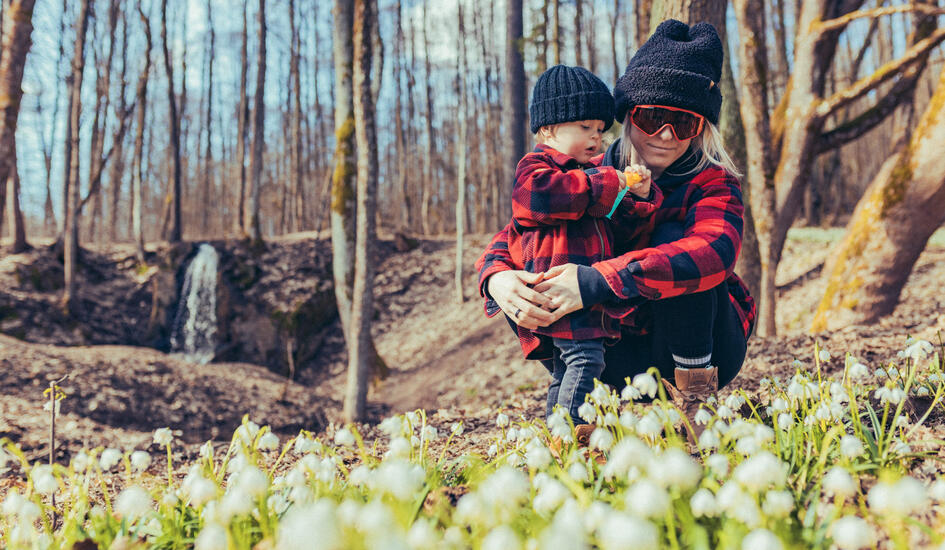 Bledulky u vápenického potoka