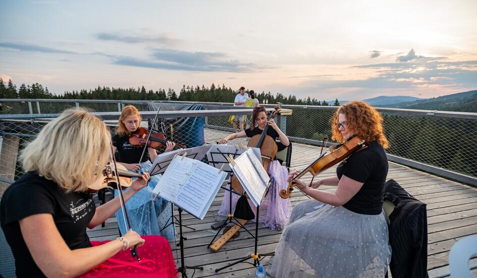 Stmívání na Stezce