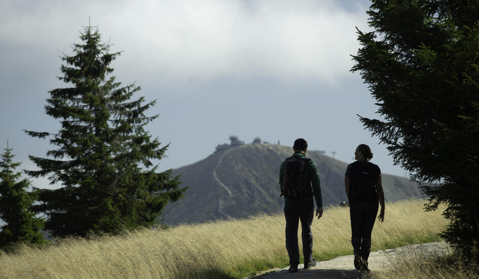Výlety s průvodcem