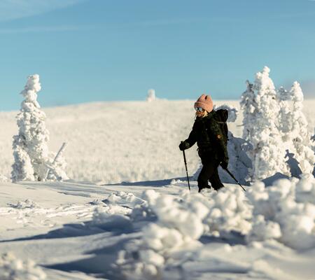 Skialpinistische Routen