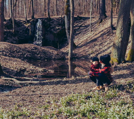 Bledulky u Vrchlabí