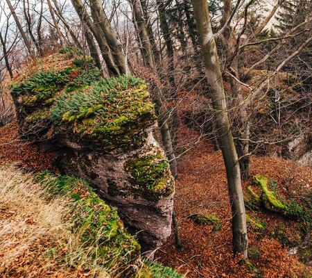 Přírodní park Hrádeček