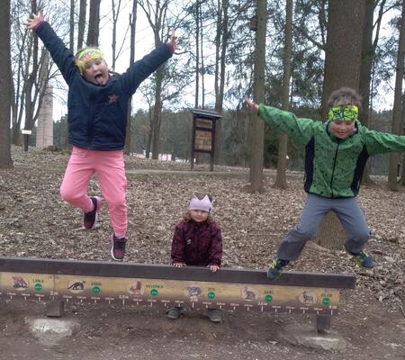 Lesopark Košťálov