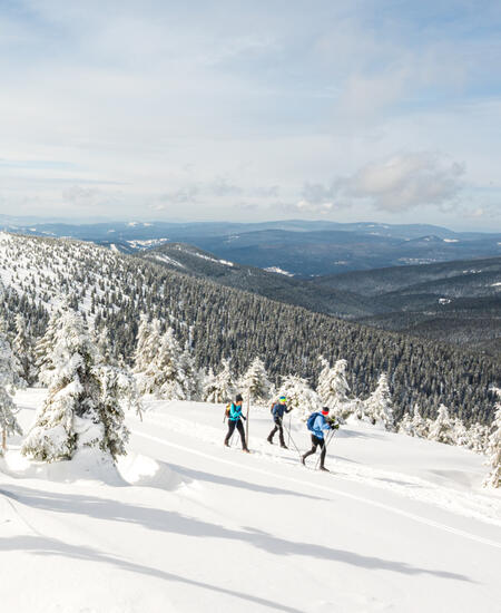 Langlaufen im Riesengebirge