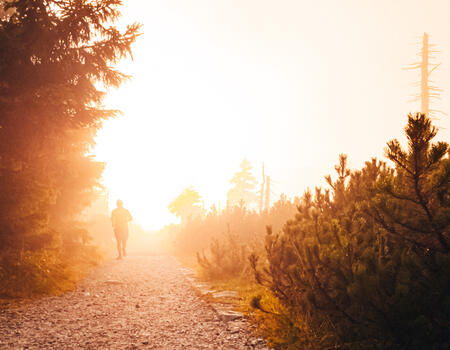 Sicher in den Bergen