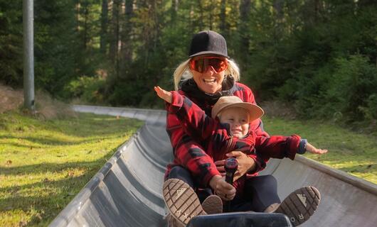 Bobová dráha Harrachov