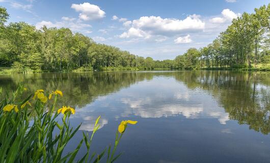 Martinické rybníky