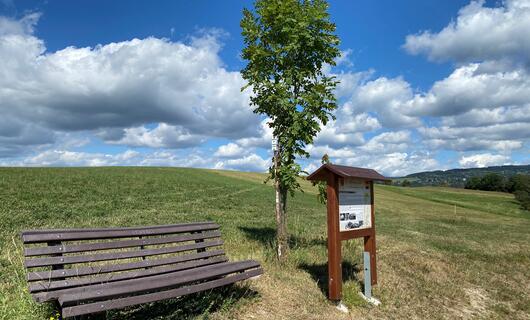 Víchová nad Jizerou
