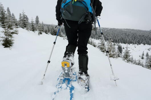 Krkonošemi na sněžnicích