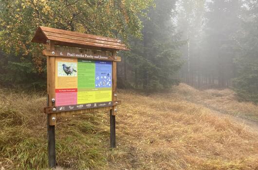 Ptačí stezka v Pasekách