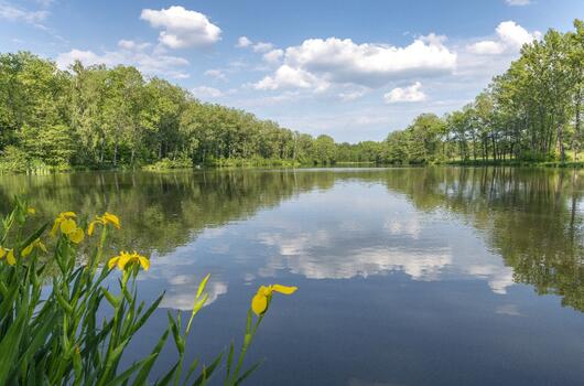 Martinické rybníky